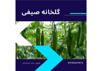 دوره اموزشی گلخانه صیفی در اصفهان کشت صیفی جات بصورت گلخانه ای یکی