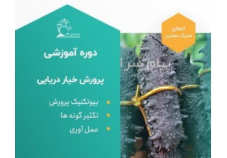 دوره آموزشی پرورش و تکثیر خیار دریایی در تهران این دوره نفرات بسیار