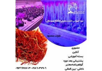 کلاس آموزشی زعفران آیروپونیک در تهران کلاس آموزشی زعفران آیروپونیک کلاس
