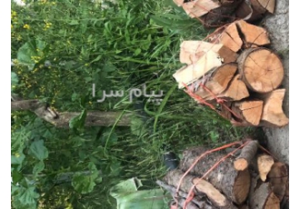 هیزم مخصوص شومینه