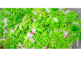 دستکش کارگری و صنعتی نیتریل کارخانه تولید دستکش کف مواد و نیتریل کارگری