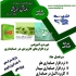 آموزش طراحی سایت با وردپرس wordpress در تهرانسر وردپرس ابزاری است