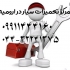 تعمیر لباسشویی و ظرفشویی انواع برند در ارومیه شرکت پردیس ارومیه محصولات