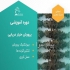 دوره آموزشی پرورش و تکثیر خیار دریایی در تهران این دوره نفرات بسیار