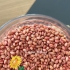 گندم هیبرید در اهواز ارسال گندم هیبرید از شهرستان خوی به تمام شهرهای