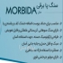 فروش سنگ پای برقی بی نظیر در قائم‌شهر سنگ پا برقی مدل Morbida از بین