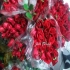 فروش عمده گل رز در بیرجند بسمه تعالی با عرض سلام فروش عمده گل رز هلندی