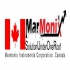 ویدئو بروسکوپ صنعتی ویدئواسکوپ صنعتی مارمونیکس مدل MARMONIX MVS ۳۶۰ در تهران