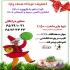 آموزش کامپیوتر در شهریار موسسه آموزشی هدف پایا برگزار می کند شروع ترم