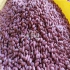 آجیل پزی میرزایی (گیل بادام ) تولید و پخش بادام زمینی عرضه مستقیم (کلی و جزئی) به تمام نقاط کشور