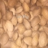 خرید و فروش انواع خشکبار( بادام مغز بادام و گردو و ) در سامان خرید