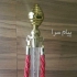 تولید و فروش راهبند مشهد انواع راه بند تشریفات راه بند مراسمات راه بند