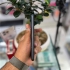 فروش گوشی Xiaomi Mi not ۱۰ در ارومیه