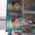 خریدارضایعات پلاستیک و سلفون چاپی در تهران خریدار انواع ضایعات پلاستیک
