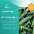 دوره آموزشی کشت گلخانه هیدروپونیک در تهران مدت دوره سه روز همراه