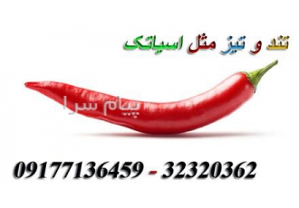 اینترنت پر سرعت در شیراز فروش ویژه اینترنت پرسرعت ADSL2 روی همه گونه