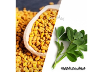 فروش بذر شنبلیله پا بلند و پا کوتاه