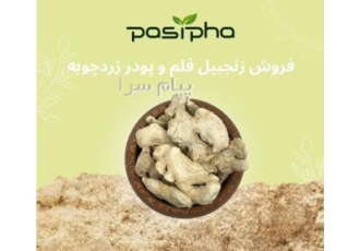 فروش چوب زنجبیل فروش پودر زنجبیل