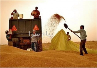 فروش اعتباری گندم جو ذرت لوبیا بوجاری