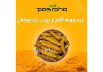 فروش زردچوبه قلم و پودر زردچوبه در تهران فروش پودر زردچوبه و زردچوبه