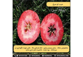 خرید نهال سیب تو سرخ در میاندوآب نهال سیب سرخ رقمی بسیار تجاری با طغم