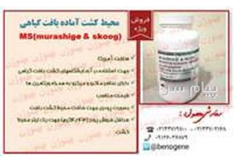محیط کشت آماده بافت گیاهی فروش محیط کشت آماده بافت گیاهی MS murashige