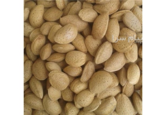 فروش بادام درختی ملایر در تهران بادام درختی ملایر ام ساله قیمت و کیفیت
