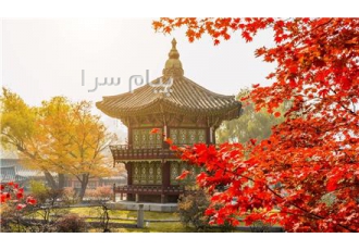 تور ژاپن ( توکیو + اوساکا ) با پرواز امارات اقامت در هتل ۴ ستاره در مشهد