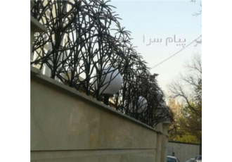 حفاظ شاخ گوزنی و بوته خاری در مشهد گروه صنعتی دنیای حفاظ مفتخر است