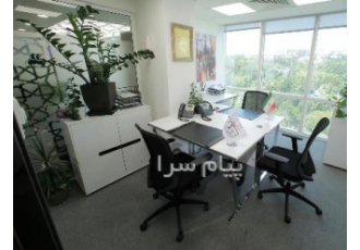 طراحی سایت حرفه ای / جشنواره