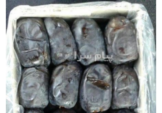 فروش عمده خرمای مضافتی درجه یک