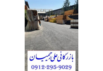 پخش انواع چوب نژاد روسی