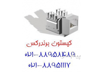 فروش کیستون برندرکس هولوگرام دار