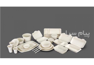 ظروف یکبار مصرف گیاهی سیتک در اصفهان شرکت زیست فناوری سیتک تولید کننده