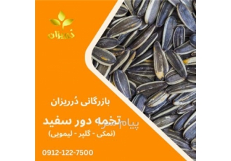 فروش تخمه دور سفید شور - فروش تخمه دور سفید نمکی