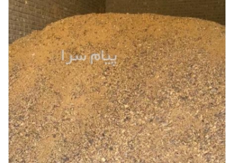 کنجاله پنبه دانه