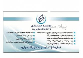 خدمات مالی و مالیاتی در تهران موسسه حسابداری درنیکا ارائه دهنده خدمات