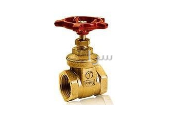 فروش کلیه محصولات جیاکومینی ایتالیا در تهران فروش کلیه محصولات