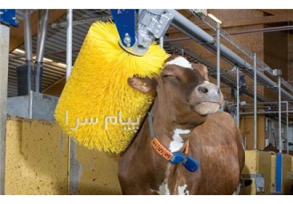 طراحی و تولید دستگاه قشوگاو