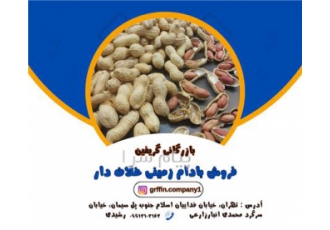 فروش بادام زمینی فروش بادام زمینی غلافدار فروش عمده خرید بدون واسطه