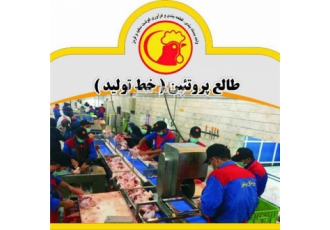 کارخانه قطعه بندی ، بسته بندی و فرآوری گوشت مرغ و گوشت قرمز طالع پروتئین