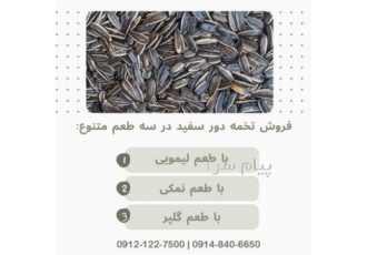 فروش تخمه دور سفید لیمویی و فروش تخمه لیمویی در تهران فروش تخمه دور