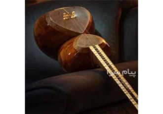 تعویض پوست، سیم و پرده ساز تار ، کمانچه، سه‌تار