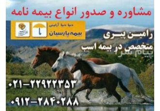 صدور تخصصی بیمه اسب مشاوره و صدور انواع بیمه نامه در تهران نمایندگی