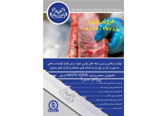 تیغ اره استخوان بر، تیغ اره گوشت بر، تیغ اره ماهی بر