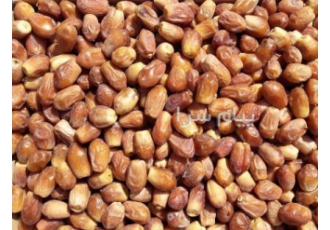 فروش خرمای زاهدی درجه یک در فراشبند فروش خرمای زاهدی درجه یک لوکس سوپر