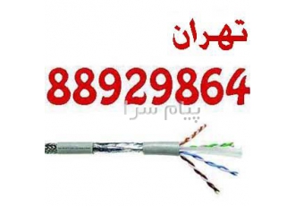 عمده فروش کابل نگزنس کابل بلدن