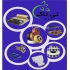 هیتر جت هیتر مهپاش نبشی شانه فوم پالت چوبی لیبل در ارومیه