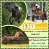 صدور تخصصی بیمه اسب مشاوره و صدور انواع بیمه نامه در تهران نمایندگی