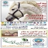 کارگزاری رسمی بیمه رحمانی استان چهارمحال و بختیاری در شهرکرد مشاوره